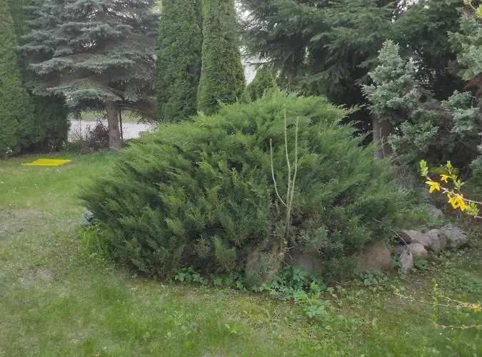 Apartment Z Ogrodem Nr 2 Typu